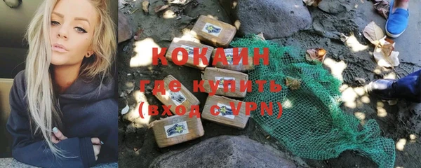 мдпв Дмитров