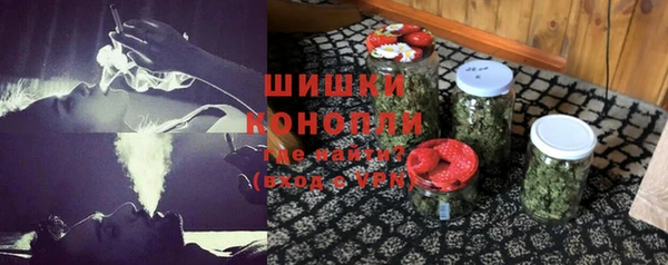прущие грибы Бежецк